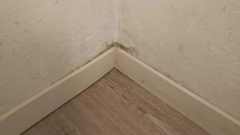 Schimmel hatte sich im Schlafzimmer von Manuela Schramm gebildet. - &copy; Manuela Schramm