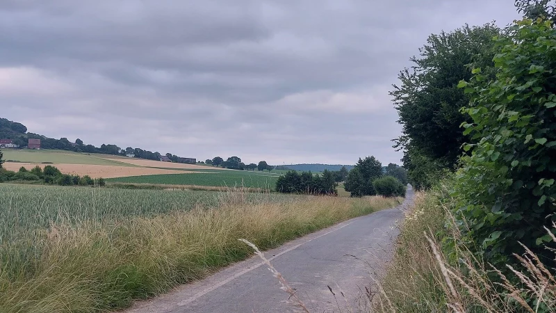 Schieder-Schwalenberg verf&uuml;gt &uuml;ber rund 330 Kilometer Wirtschaftswege, davon sind 119 Kilometer in st&auml;dtischem Besitz. Dieser Wirtschaftsweg liegt zwischen Brakelsiek und Schwalenberg. - &copy; Michaela Wei&szlig;e