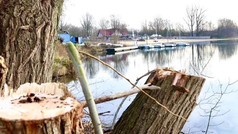 Auf dem Gel&auml;nde neben der Strandbar Salitos Beach am Paderborner Lippesse finden derzeit Arbeiten statt. - &copy; Rajkumar Mukherjee