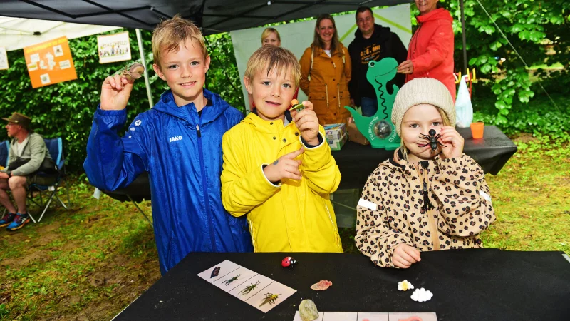 Tom (von links), Max und Charlotte testen ihre Sinne am Stand der Grundschule Holzhausen und ordnen die Insekten verschiedenen Stadien des Lebenszyklusses zu. - © Nicole Ellerbrake