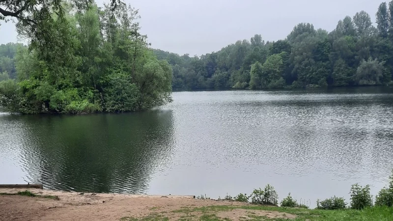 Im Meschesee haben sich Blaualgen gebildet. - © Archivfoto: Meike Groppe