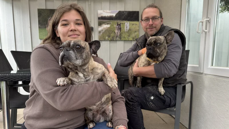 Tierheim-Mitarbeiterin Leonie Vollmer und Bj&ouml;rn Schakat mit den franz&ouml;sischen Bulldoggen "Philipp und "Paul". - &copy; Sven Kienscherf