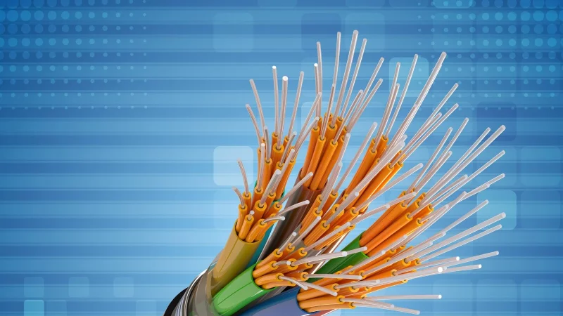 F&uuml;r die Stadt Blomberg kommt die Dunkelgraue Fleckenf&ouml;rderung nicht infrage - aus Kostengr&uuml;nden. - &copy; Pixabay