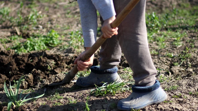 Bei Gartenarbeiten wurde in Bad Driburg ein Sch&auml;del entdeckt. Die Polizei hat nun eine Theorie dar&uuml;ber, wie er dorthin gekommen ist. - &copy; Symbolfoto: Pixabay/AdinaVoicu