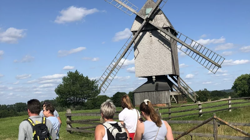 Das Freilichtmuseum mit der Kappenwindmühle und anderen Attraktionen ist ein Anziehungspunkt in Detmold und der gesamten Region. - © Archivfoto: Silke Buhrmester