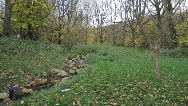 Seit vielen Jahren wird hier an der Renaturierung gearbeitet. 2020 beseitigte ein neu angelegter Gew&auml;sserverlauf dank des Projektes "Wasser im Fluss" den Wasserstau zwischen der Weser und dem Herrengraben. - &copy; Archivfoto: Kreis Lippe