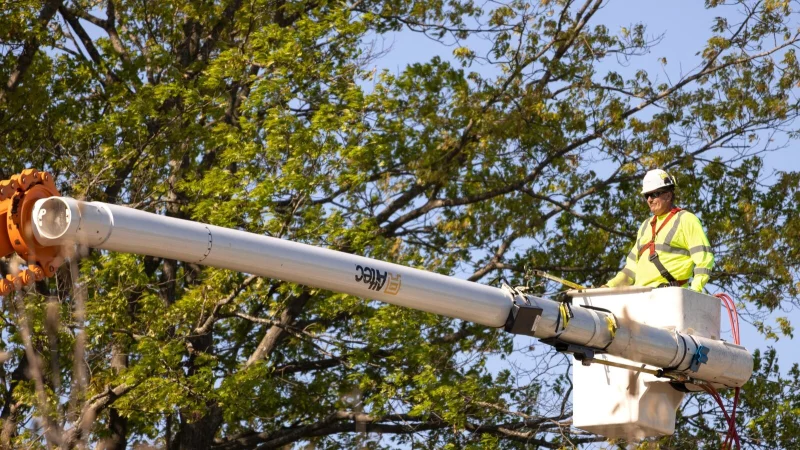 In Blomberg werden die B&auml;ume gepflegt. - &copy; Symbolbild: Pixabay