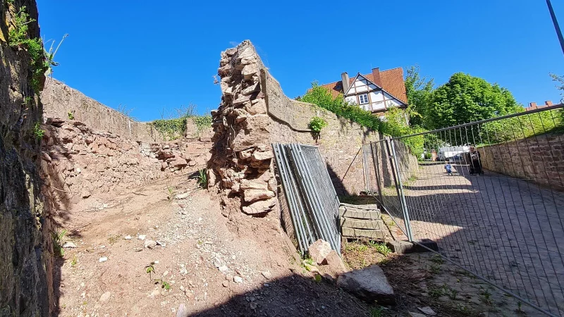 Nach der Freilegung sieht man erst mal, was f&uuml;r ein m&auml;chtiges Bauwerk die Burgmauer ist. Doch noch ist unklar, wie es weitergehen soll. - &copy; Marianne Schwarzer