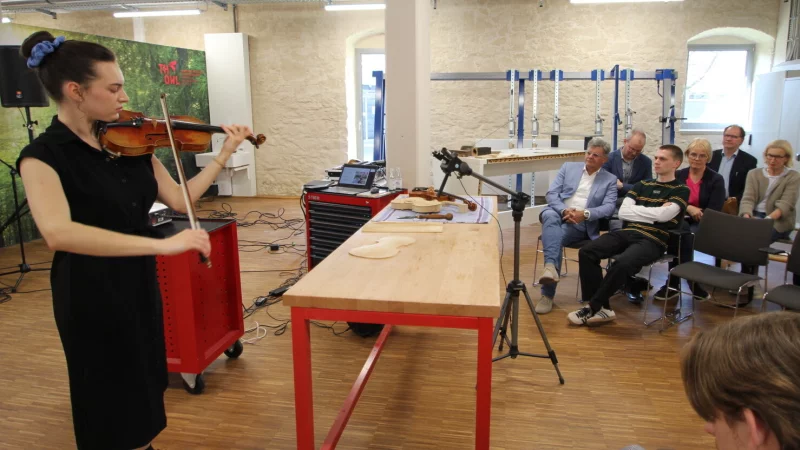 Violine und Werkbank: Bei der Veranstaltung "Holz & Musik" im Smart-Wood-Center ist klassische Musik mit Violinistin Alisha-Sophie Freiter in der Maschinenhalle zu hören. - © Jens Rademacher