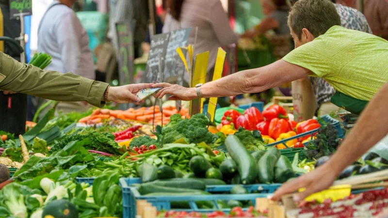 Die Erzeugerpreise für landwirtschaftliche Produkte sind im Durchschnitt gesunken. Zwischen tierischen und pflanzlichen Produkten gibt es Unterschiede. - © Andreas Arnold/dpa