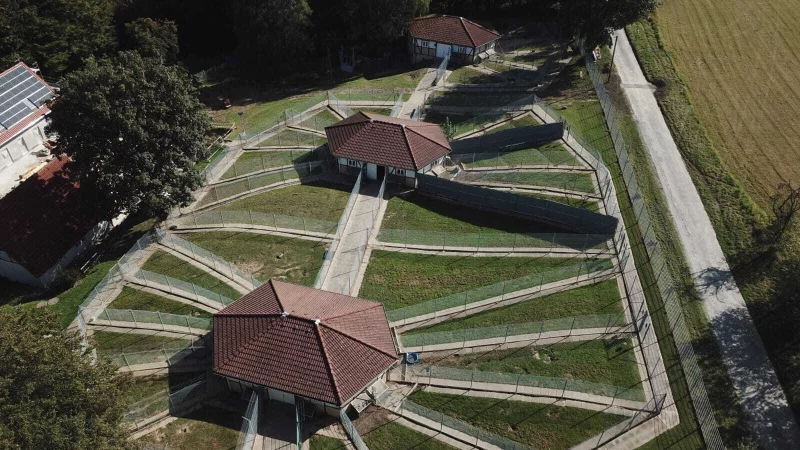 Der Verein "Tierschutz der Tat" plant den Bau eines neuen Hundehauses f&uuml;r das Tierheim Detmold. Es soll die in die Jahre gekommenen Unterbringungen ersetzen und den Vierbeinern ein modernes Zuhause bieten. - &copy; Tierschutz der Tat e.V.