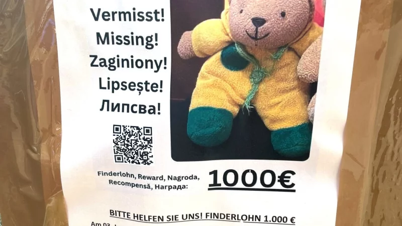 Bielefelder Teddy gesucht - 1.000 Euro Finderlohn sind auf Steckbriefen ausgesetzt. - &copy; Christof Bock/dpa-Zentralbild/dp