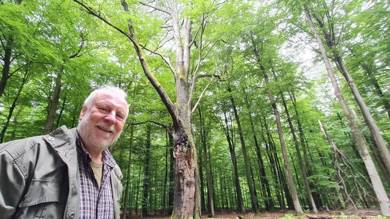 Stephan Radecks Lieblingsbaum steht gar nicht so weit weg vom Blomberger Forsthaus: Die alte, mächtige Buche hat schon viele Stürme überstanden. - © Marianne Schwarzer