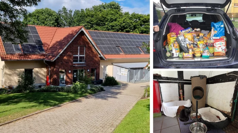 Sachspenden f&uuml;r die Tierheim-Tiere sind eine heikle Angelegenheit. Sie sollten in einem neuen oder zumindest neuwertigen Zustand sein, um allen Hygiene-Anspr&uuml;chen des Heims gerecht zu werden. Immer h&auml;ufiger wird M&uuml;ll vor den Toren entsorgt. Das frustriert die Tiersch&uuml;tzer. - &copy; Archivbild: Bernhard Preuss