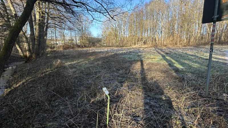 Auf diesem Gel&auml;nde soll eine Hundewiese in Bad Meinberg eingerichtet werden. - &copy; Cordula Gr&ouml;ne