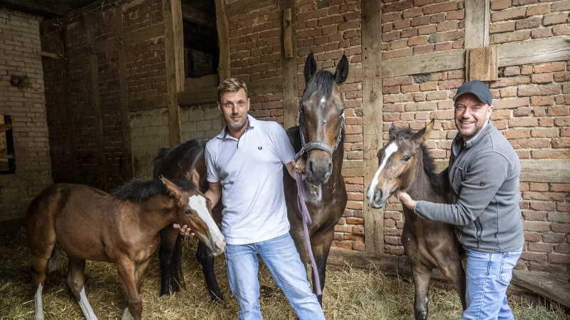 Dennis Malett (l.) und Dennis Flues mit den Fohlenzwillingen Sonny und Sally
sowie Mutterstute "Calina Blue". - &copy; J&ouml;rg Dieckmann