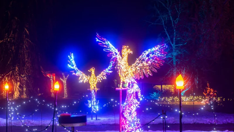 Die bekannte Illumination im Bad Pyrmonter Kurpark wird es wohl erst n&auml;chstes Jahr geben. - &copy; Carlhermann Schmitt