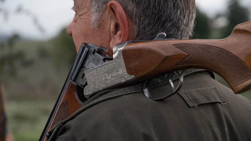 Die Dr&uuml;ckjagdsaison in Lippe ist gestartet. - &copy; Pixabay/Symbolbild