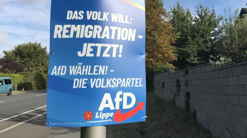 Die AfD hat bei der Integrationsratswahl in Detmold &uuml;berraschend gut abgeschnitten. - &copy; Anneke Quasdorf