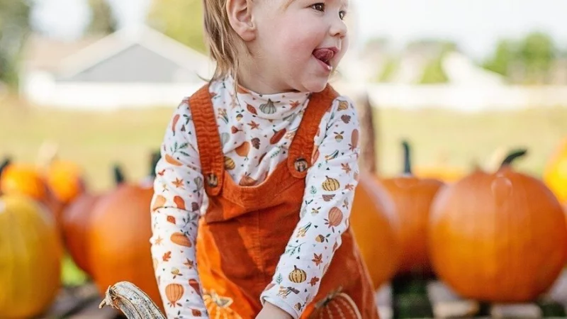 Mit K&uuml;rbissen wird der Marktplatz geschm&uuml;ckt. - &copy; Pixabay