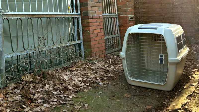 Von einem Grundst&uuml;ck am M&ouml;wenweg in G&uuml;tersloh-Friedrichsdorf hat das Veterin&auml;ramt insgesam fast 30 Hunde fortgenommen. - &copy; Christian Br&ouml;der