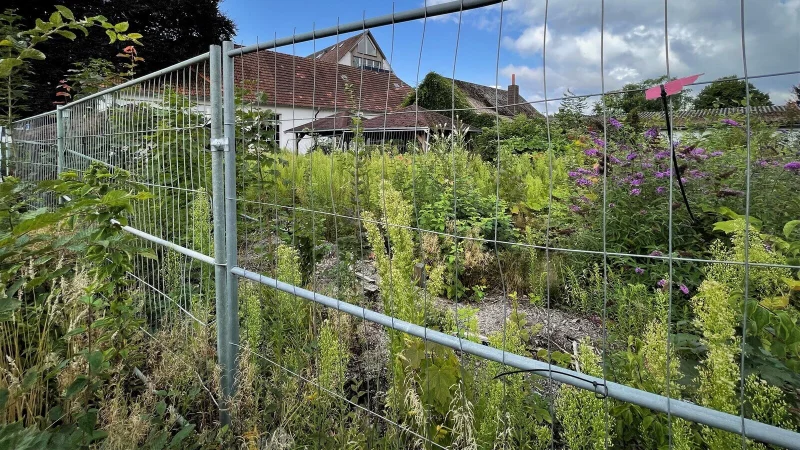 Das leerstehende Hotel-Restaurant B&uuml;scher in Bielefeld-Quelle verf&auml;llt seit Dezember 2023. Die Pflanzenwelt hat den Biergarten bereits r&uuml;ckerobert. - &copy; Susanne Lahr