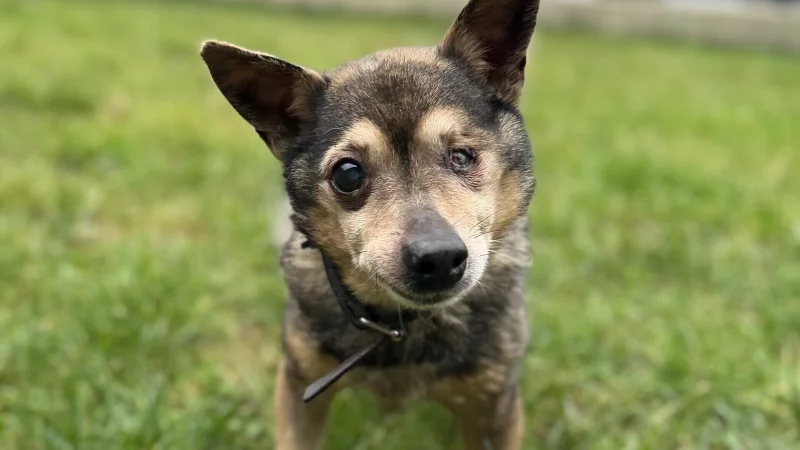 Einen solchen Fall hat das Team auf dem Lebenshof Dorf Sentana in Bielefeld noch nicht erlebt. - &copy; Stiftung Sentana