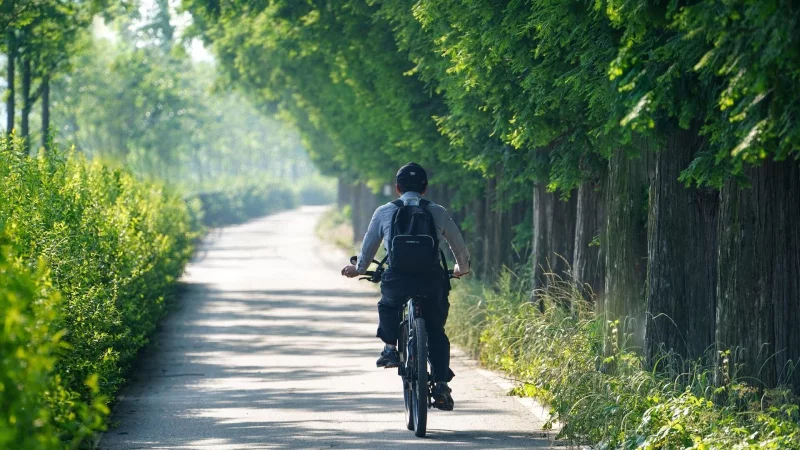 Sichere Radwege wie diesen wünschen sich Radfahrer. - © Pixabay