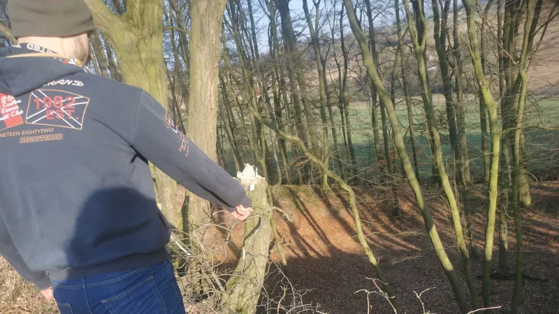 Ein Dörentruper hatte im März sechs tote Wildtiere im Wald gefunden. - © Sylvia Frevert