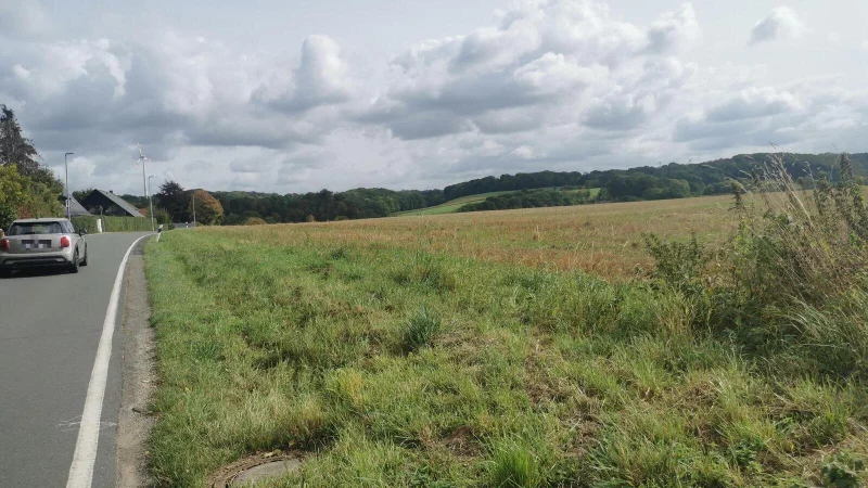 Auf dieser freien Fl&auml;che an der F&uuml;tiger Stra&szlig;e in Almena will Edeka einen "Nah-und-gut"-Markt bauen. - &copy; Sylvia Frevert