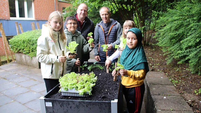 Die Klassensprecher der Vierten Klassen setzen die ersten Pflanzen. Bürgermeister Christoph Dolle (links) und Schulleitung Torsten Mewes helfen ihnen dabei. - © Stadt Blomberg