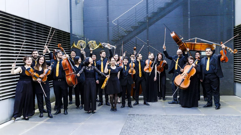 Leidenschaftlich, qualitätsvoll, spielfreudig: Die Musikerinnen und Musiker des Detmolder Kammerorchesters. - © Eva Maria Richter
