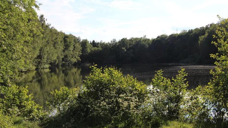 Der Pottkuhlenteich k&ouml;nnte bei einem Starkregenereignis bis zu 30.000 Kubikmeter Wasser zus&auml;tzlich aufnehmen. - &copy; Nadine Uphoff/Archivfoto