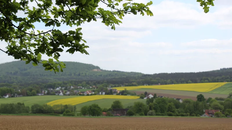 Hörste soll weiter Luftkurort bleiben. Deshalb werden zurzeit Messungen durchgeführt. - © Archivfoto: Sandra Castrup