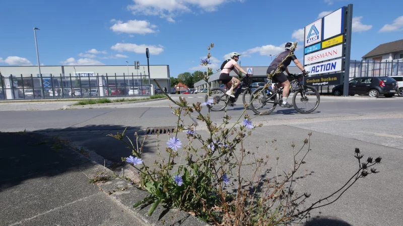 Schon 2021 hatte der ADFC vor einer hohen Verkehrsbelastung rund um das Fachmarktzentrum gewarnt. - © Archivfoto: Jost Wolf