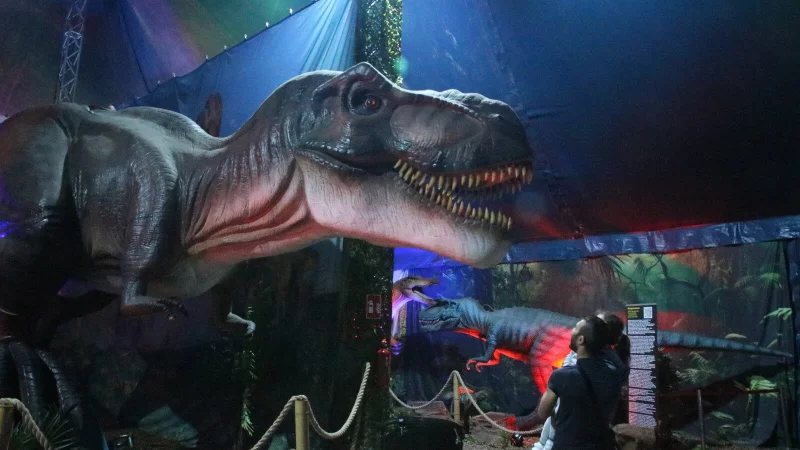 Imposante Dinos in allen Größen: Bei der iTronic-Dinosaurs Ausstellung am Bielefelder Gleisdreieck wartet auch dieser T-Rex auf Besucherinnen und Besucher. - © Dana Thoeren