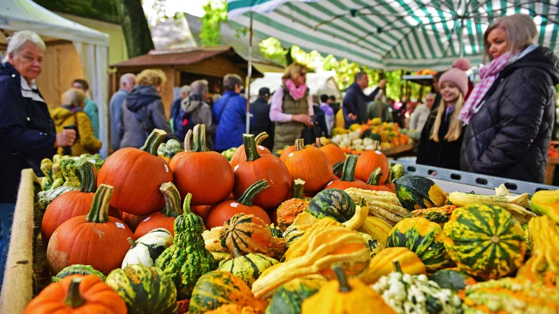 Der Bad Meinberger Bauernmarkt findet zum 28. Mal statt. Die Veranstalter erwarten am dritten Oktoberwochenende wieder viele Besucher. - © Archivfoto: Nicole Ellerbrake