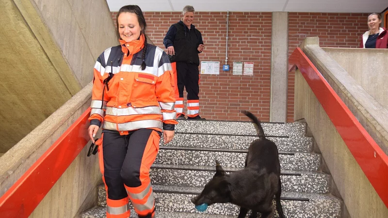 Hundef&uuml;hrerin Patricia Blum ist mit ihrem Rettungshund beim Training im Gymnasium dabei. Anja Kropp beobachtet das Verhalten oben von einer der Treppen aus. Fotos: Karin Prignitz - &copy; Karin Prignitz