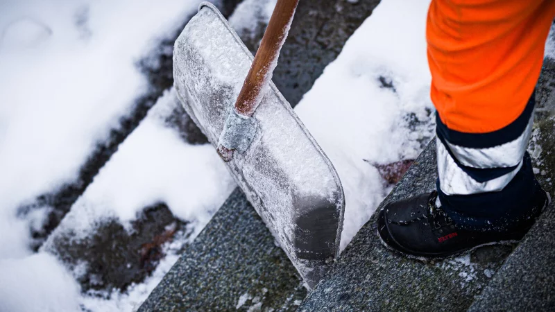Sturmtief Elli sorgt f&uuml;r Schnee, Wind und Glatteis in OWL. - &copy; Moritz Frankenberg/dpa