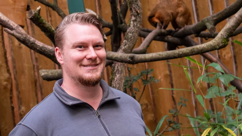 Die Nasenbären gehören zu den Lieblingstieren des angehenden Zootierpflegers Tobias Schillberg. - © Ralf Bittner