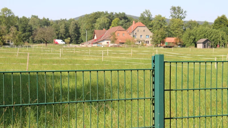 Blick vom Spielplatz an der Sandstraße in Richtung Waldstraße. Die Grünfläche dazwischen von Mergelweg rechts bis zur bestehenden Bebauung links ist seit vielen Jahren als Bauland ausgewiesen. Gebaut wurde dort bislang aber nicht. - © Dieter Asbrock