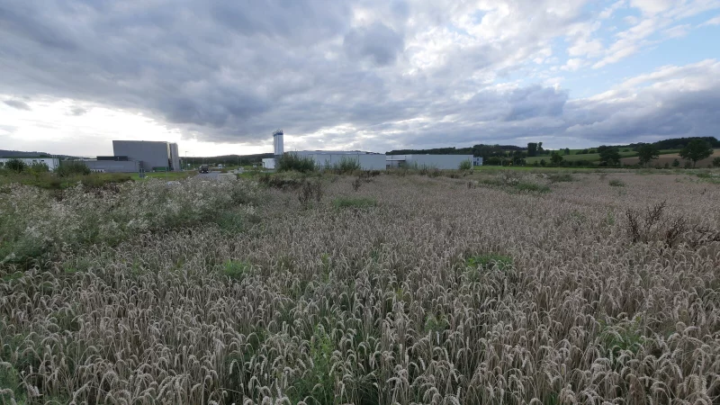 So sah die brachliegende Erweiterungsfl&auml;che des Industrieparks Lippe aus, seit klar war, dass Amazon dort bauen wird. Vorher war sie von der Stadt f&uuml;r die landwirtschaftliche Nutzung verpachtet worden. - &copy; Archivfoto: Jost Wolf