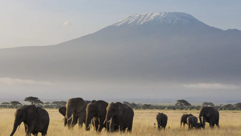 Die Multivisionsshow f&uuml;hrt nach Ostafrika. - &copy; Jutta Ulmer
