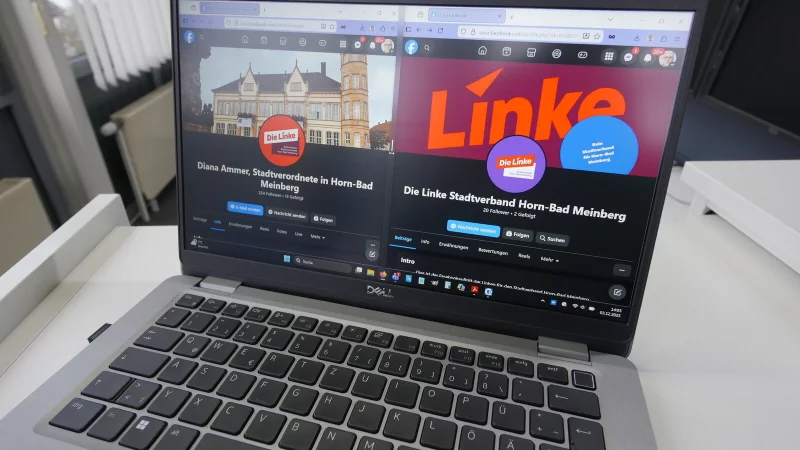 Links die Facebook-Seite von Diana Ammer, rechts die des Stadtverbandes der Linken. - © Jost Wolf