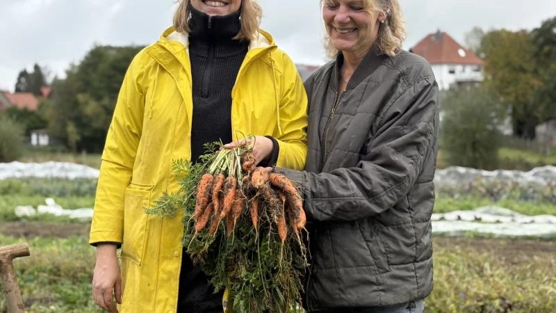 Ankristin Beineke (von links) und Maren Kaschka zeigen frisch geerntete Möhren vom Acker der Solawi in Langenholzhausen. - © Jan Schillmann