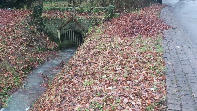 Der Einlaufrechen im K&ouml;terbach in Schwalenberg soll gegen ein 3D-Gitter ausgetauscht werden, weil ein Gitter mit dreidimensionaler Struktur mehr R&uuml;ckhaltefl&auml;che bietet. - &copy; Michaela Wei&szlig;e