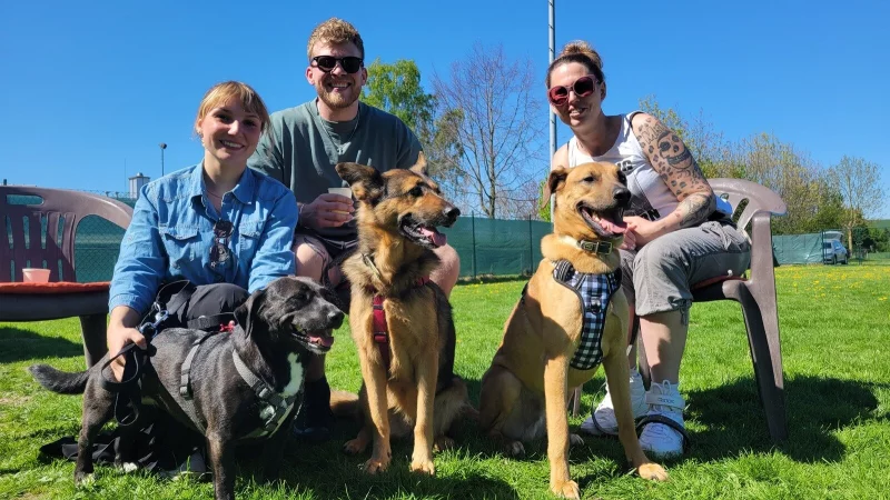 Bianca Wiechmann, Lennard Beiderwieden und Corinna Wacker mit Ember, Smilla und Jaxs. - © Vasco Stemmer