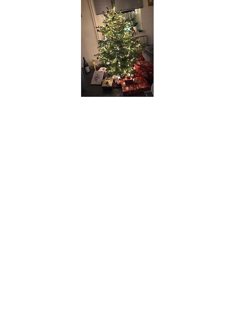 Weihnachtsbäume in Lippe