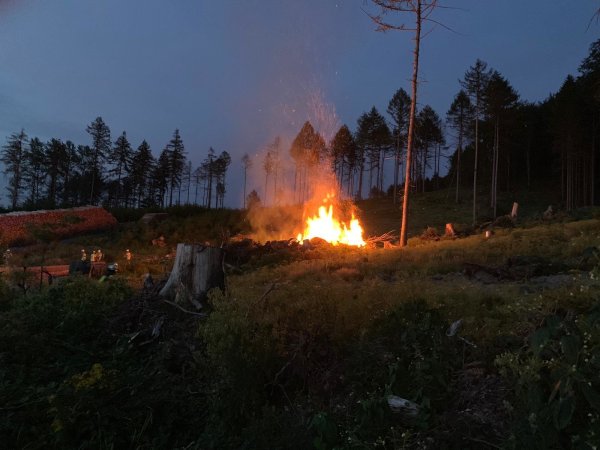 Die Feuerwehr hat einen Waldbrand bei Eschenbruch gelöscht. - © Feuerwehr Blomberg