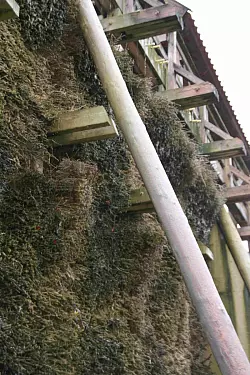 Das Gradierwerk zwischen Heder und S&auml;lzerhalle. - &copy; FOTO: HELMUT STEINES